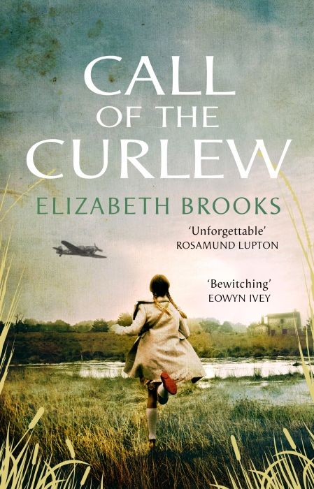Produktbild: Call of the Curlew