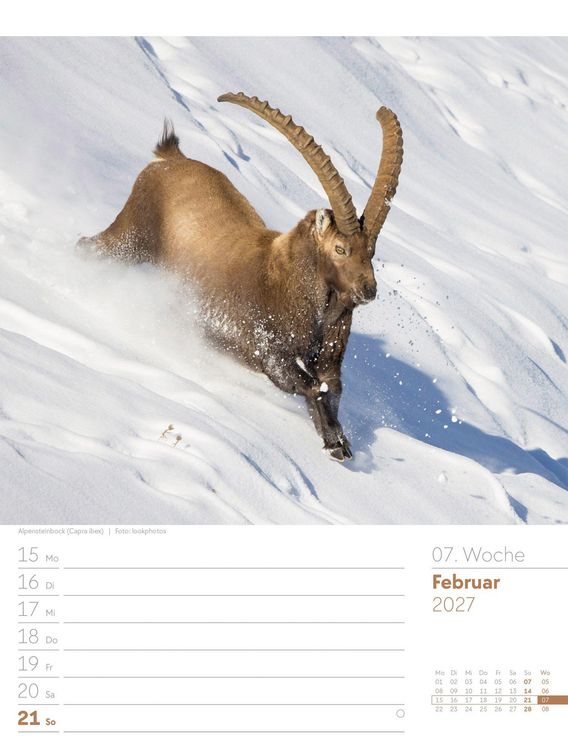Produktbild: Faszination Alpenwelt Wochenplaner Kalender 2027