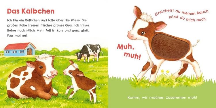 Produktbild: H&ouml;r mal, wie ich schnattern kann (Mein erstes Streichel-Soundbuch 1)