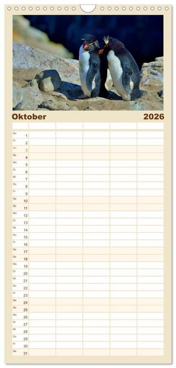 Produktbild: Familienplaner 2026 - Im Reich der Pinguine mit 5 Spalten (Wandkalender, 21 x 45 cm) CALVENDO