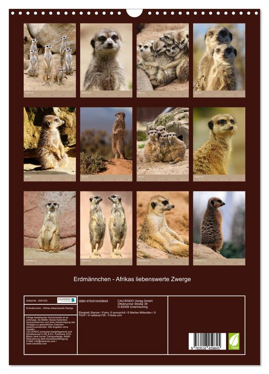 Produktbild: Erdm&auml;nnchen - Afrikas liebenswerte Zwerge (Wandkalender 2026 DIN A3 hoch), CALVENDO Monatskalender