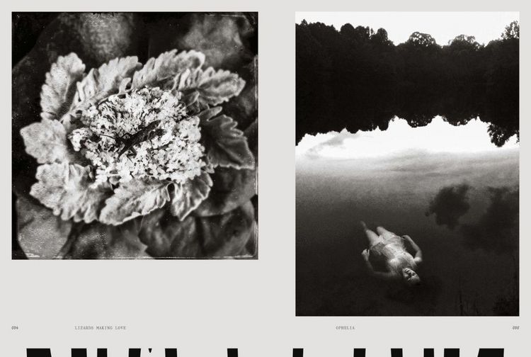 Produktbild: Femxphotographers.org