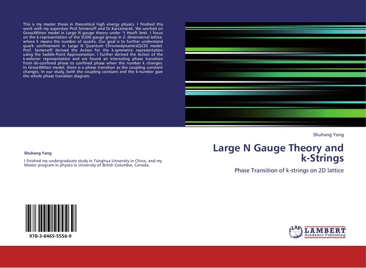 Produktbild: Large N Gauge Theory and k-Strings