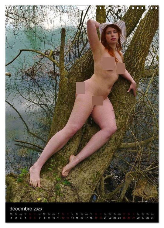 Produktbild: Douceur d'automne (Calendrier mural 2026 DIN A3 horizontal), CALVENDO calendrier mensuel