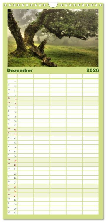 Produktbild: Familienplaner 2026 - Wildes Madeira - Inselimpressionen mit 5 Spalten (Wandkalender, 21 x 45 cm) CALVENDO