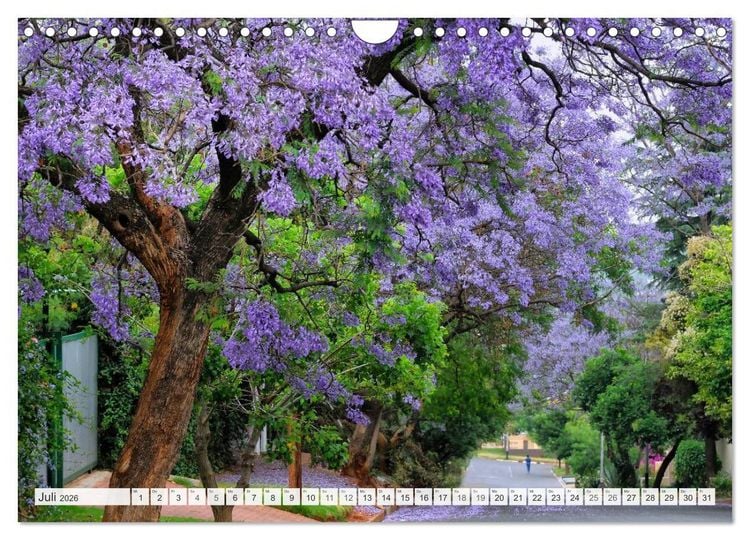 Produktbild: S&uuml;dafrika / Landschaften & Tiere / Christian Heeb (Wandkalender 2026 DIN A4 quer), CALVENDO Monatskalender