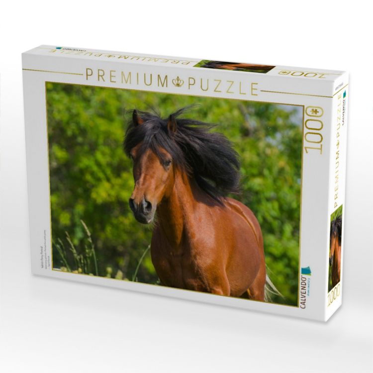 Produktbild: CALVENDO Puzzle Welsh Pony Portr&auml;t | 1000 Teile Lege-Gr&ouml;&szlig;e 64x48cm Foto-Puzzle f&uuml;r gl&uuml;ckliche Stunden