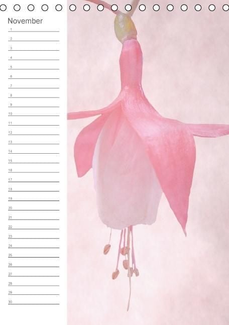 Produktbild: Zarte Bl&uuml;ten / Geburtstagskalender (Tischkalender immerw&auml;hrend DIN A5 hoch)