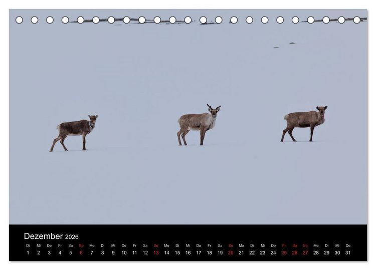 Produktbild: Tierkalender 2026 (Tischkalender 2026 DIN A5 quer), CALVENDO Monatskalender