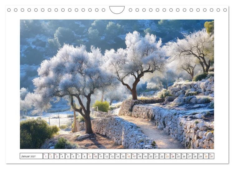 Produktbild: Die Magie der Olivenhaine (Wandkalender 2027 DIN A4 quer), CALVENDO Monatskalender