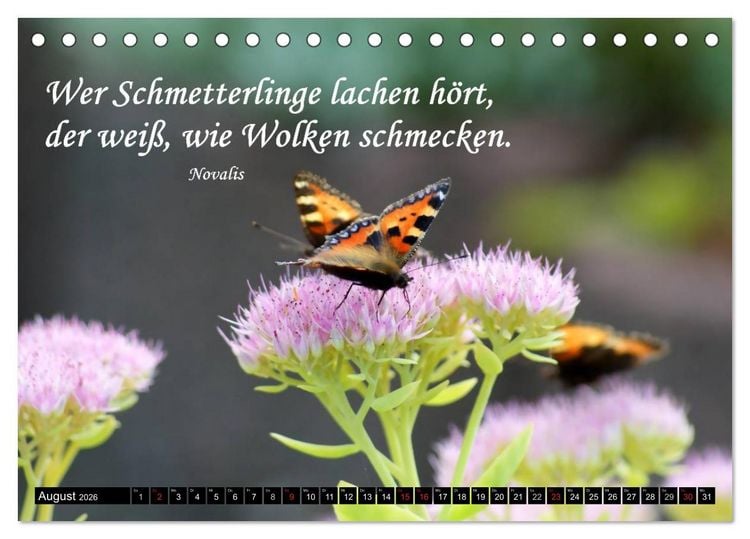 Produktbild: Weisheiten, Zitate und Spr&uuml;che - Ein Jahr voller Gedanken 2026 AT Version (Tischkalender 2026 DIN A5 quer), CALVENDO Monatskalender