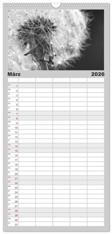 Produktbild: Familienplaner 2026 - Pusteblume - Impressionen in schwarzwei&szlig; mit 5 Spalten (Wandkalender, 21 x 45 cm) CALVENDO