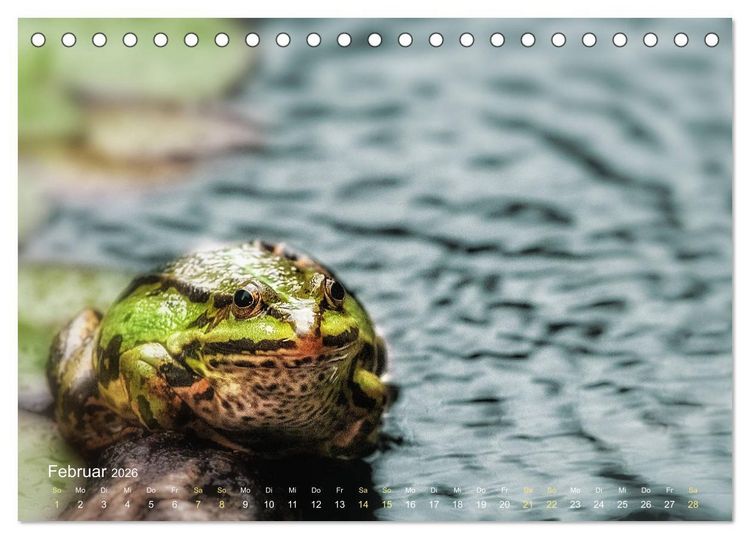 Produktbild: Fr&ouml;sche zum Verlieben (Tischkalender 2026 DIN A5 quer), CALVENDO Monatskalender