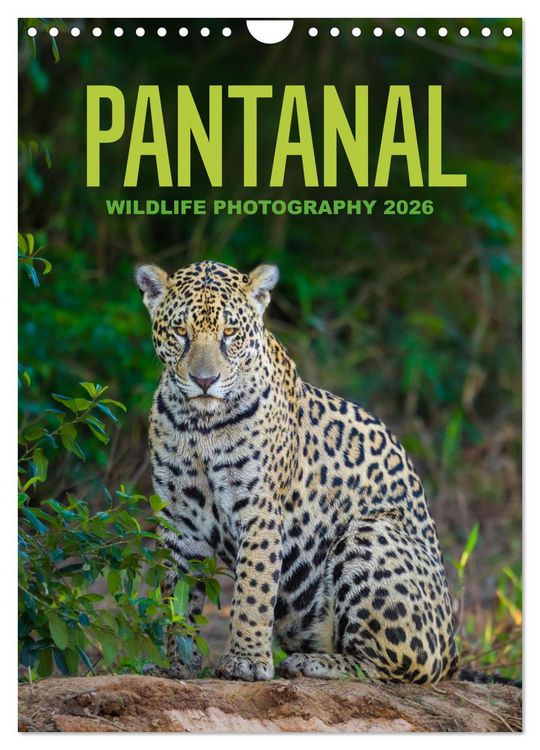 Produktbild: Pantanal Wildlife Photography (Wall Calendar 2026 DIN A4 portrait), CALVENDO 12 Month Wall Calendar