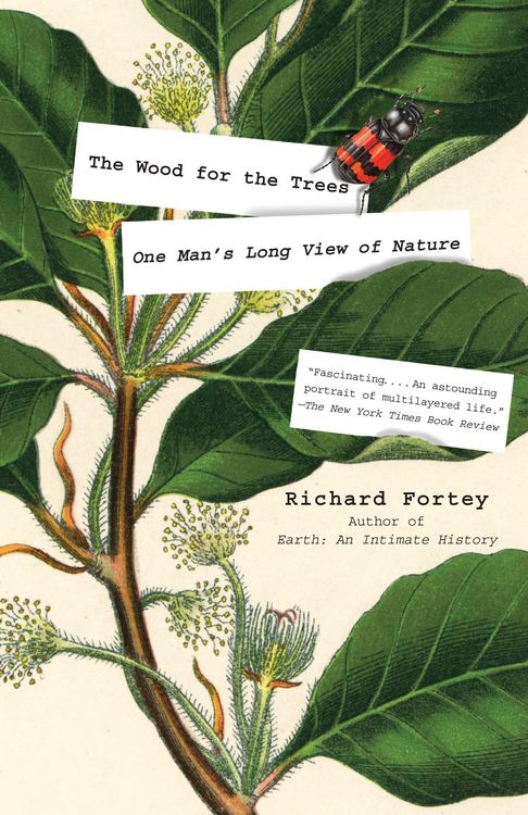 Produktbild: The Wood for the Trees