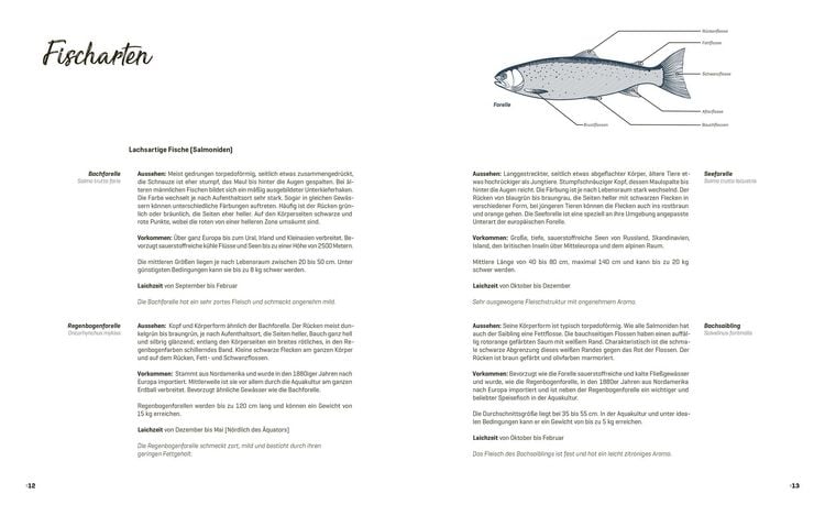 Produktbild: Fisch echt einfach