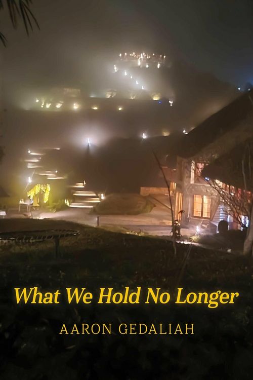 Produktbild: What We Hold No Longer