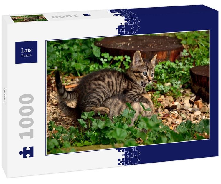 Produktbild: Lais Puzzle Katzen 1000 Teile