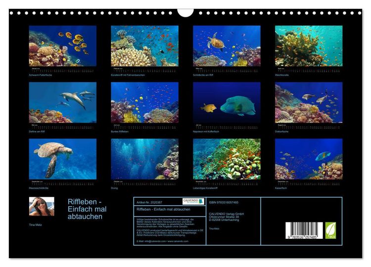 Produktbild: Riffleben - Einfach mal abtauchen (Wandkalender 2026 DIN A3 quer), CALVENDO Monatskalender