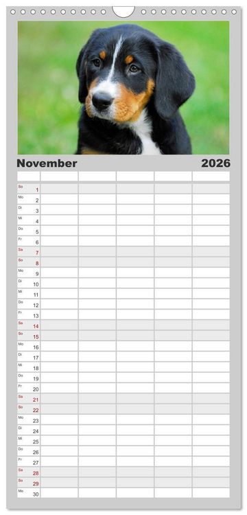 Produktbild: Familienplaner 2026 - Schweizer Sennenhunde - aus den Schweizer Alpen mit 5 Spalten (Wandkalender, 21 x 45 cm) CALVENDO