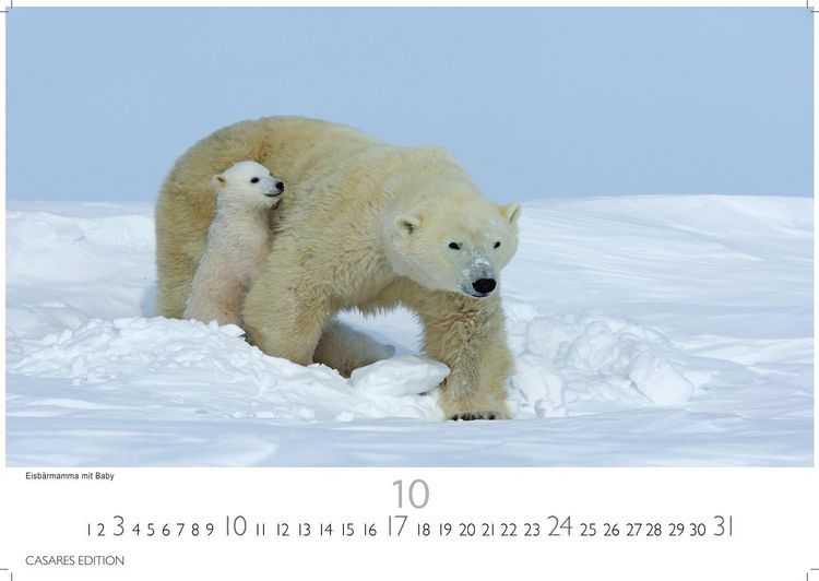 Produktbild: Gr&ouml;nland Kalender 2027 &ndash; Wandkalender | Fotokalender Nordeuropa 24x35cm - . mit beeindruckenden Naturaufnahmen, Perfekt f&uuml;r Natur- und Reisebegeisterte