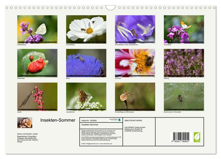 Produktbild: Insekten-Sommer (Wandkalender 2026 DIN A3 quer), CALVENDO Monatskalender