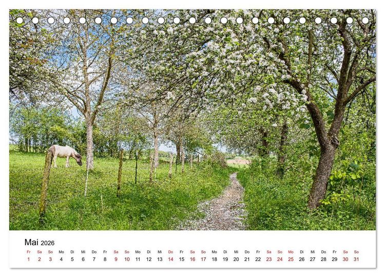 Produktbild: H&ouml;hepunkte des Siebengebirges (Tischkalender 2026 DIN A5 quer), CALVENDO Monatskalender
