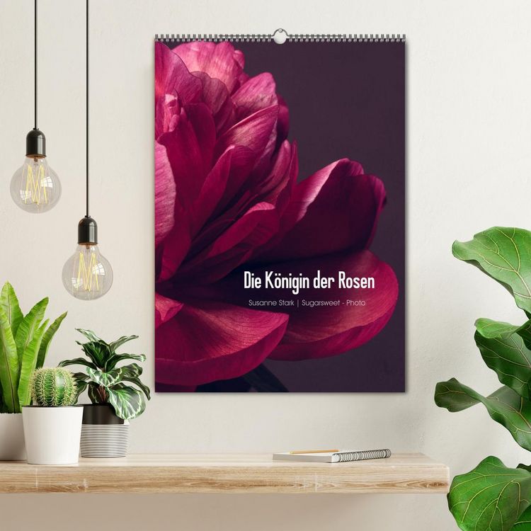 Produktbild: Die K&ouml;nigin der Rosen (Wandkalender 2026 DIN A2 hoch), CALVENDO Monatskalender