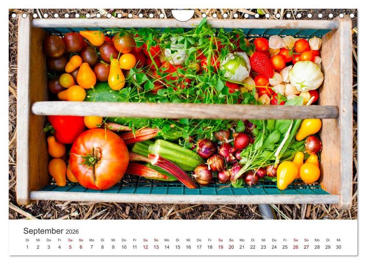 Produktbild: Frisches aus dem Gem&uuml;segarten (Wandkalender 2026 DIN A4 quer), CALVENDO Monatskalender