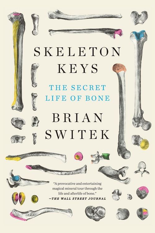 Produktbild: Skeleton Keys