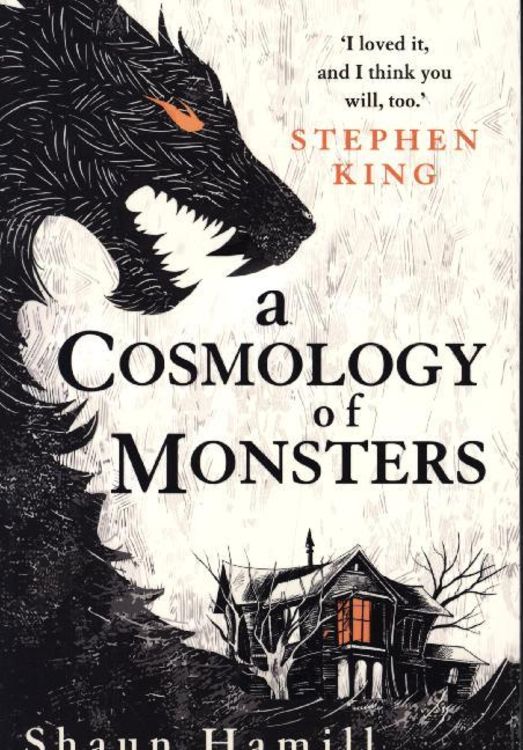 Produktbild: A Cosmology of Monsters