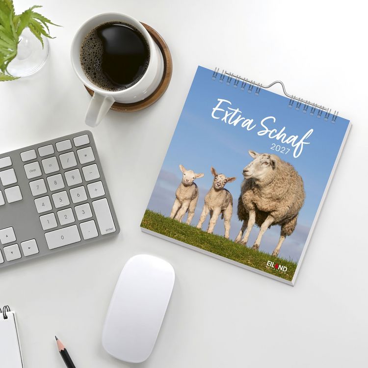 Produktbild: Extra Schaf Postkartenkalender 2027