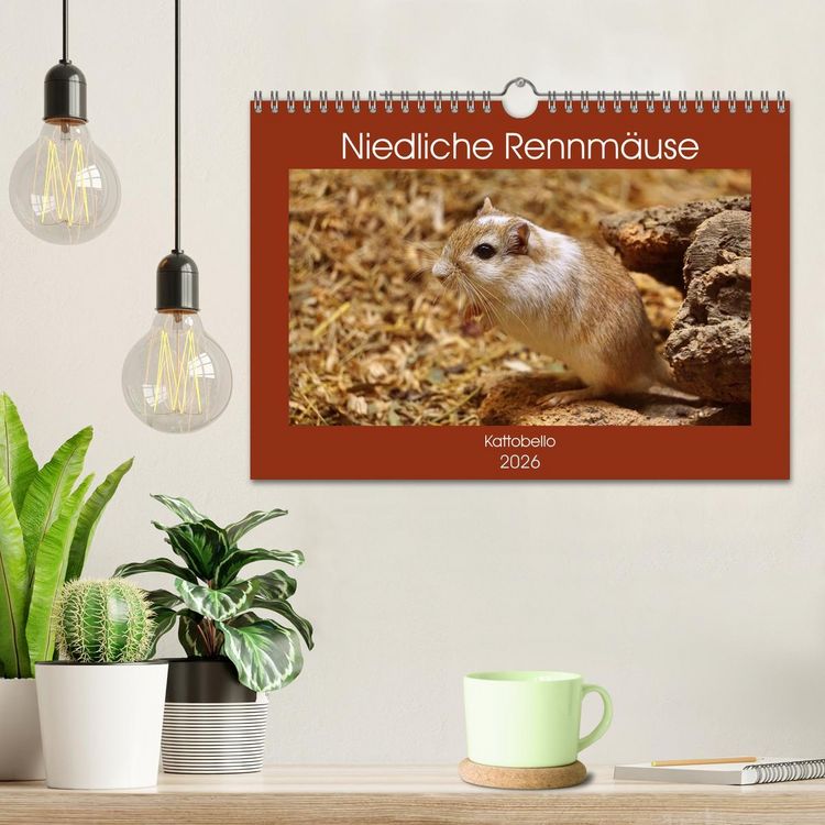 Produktbild: Niedliche Rennm&auml;use (Wandkalender 2026 DIN A4 quer), CALVENDO Monatskalender