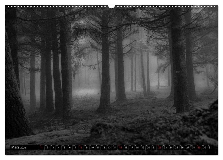 Produktbild: Stille Momente in Schwarz-Weiss (hochwertiger Premium Wandkalender 2026 DIN A2 quer), Kunstdruck in Hochglanz