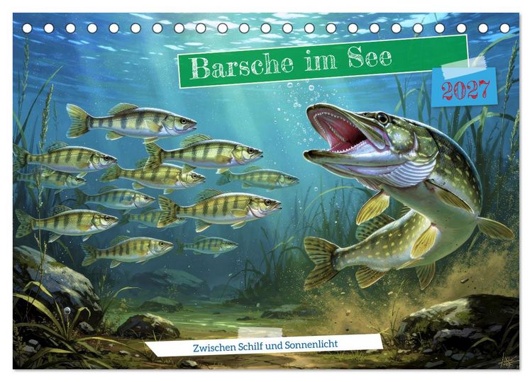 Produktbild: Barsche im See (Tischkalender 2027 DIN A5 quer), CALVENDO Monatskalender