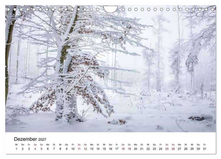 Produktbild: Zeitlose Landschaften (Wandkalender 2027 DIN A4 quer), CALVENDO Monatskalender