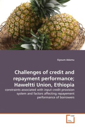 Produktbild: Adamu, S: Challenges of credit and repayment performance; Ha