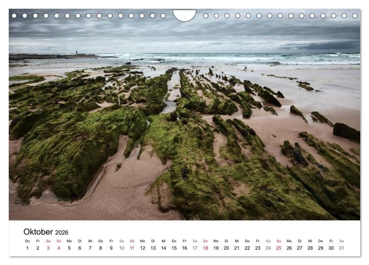Produktbild: K&uuml;sten - Kunst der Meere (Wandkalender 2026 DIN A4 quer), CALVENDO Monatskalender