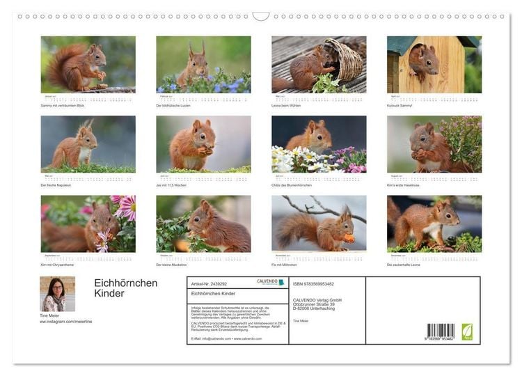 Produktbild: Eichh&ouml;rnchen Kinder (Wandkalender 2027 DIN A2 quer), CALVENDO Monatskalender