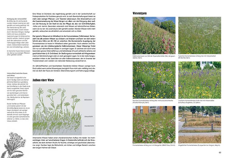 Produktbild: Praxishandbuch Stadtnatur