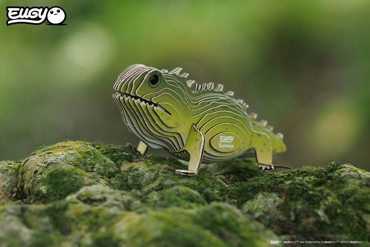 Produktbild: EUGY - 3D Bastelset Br&uuml;ckenechse