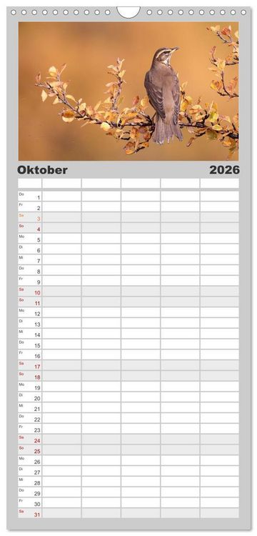 Produktbild: Familienplaner 2026 - Island - Traumland am Rande der Arktis mit 5 Spalten (Wandkalender, 21 x 45 cm) CALVENDO