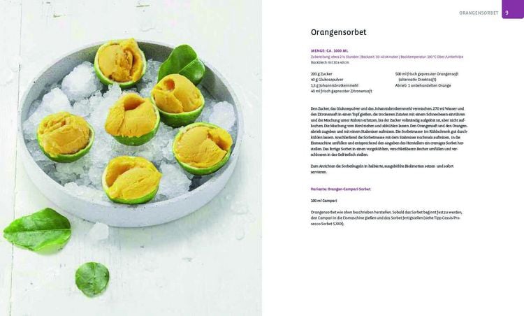 Produktbild: Die Eis-Bibel