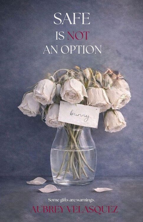 Produktbild: Safe is NOT an option