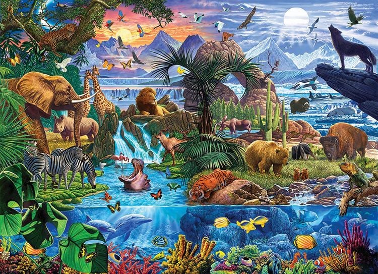 Produktbild: Animals of the World by Steve Crisp