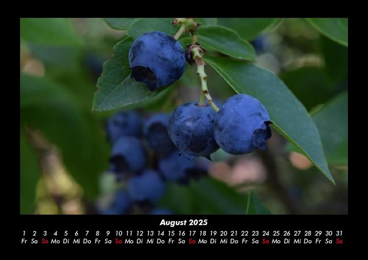 Produktbild: Obstkalender 2025 Fotokalender DIN A3