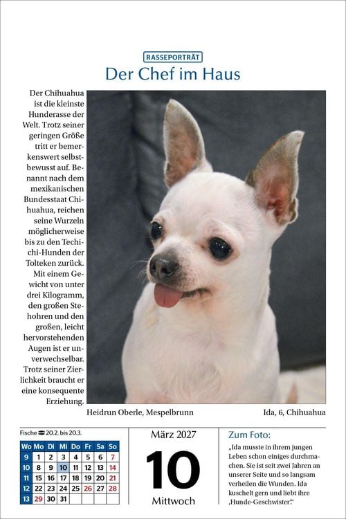 Produktbild: Hunde Tageskalender 2027