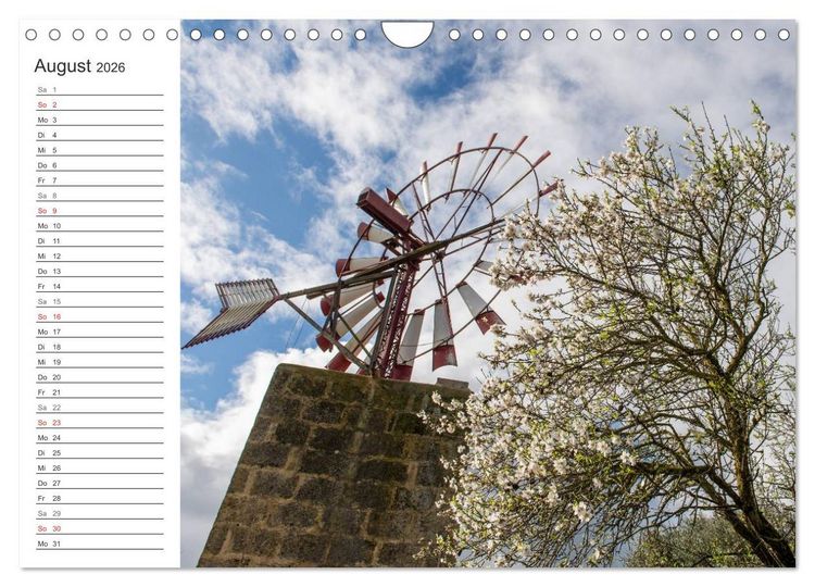 Produktbild: Emotionale Momente: Mandeln (Wandkalender 2026 DIN A4 quer), CALVENDO Monatskalender