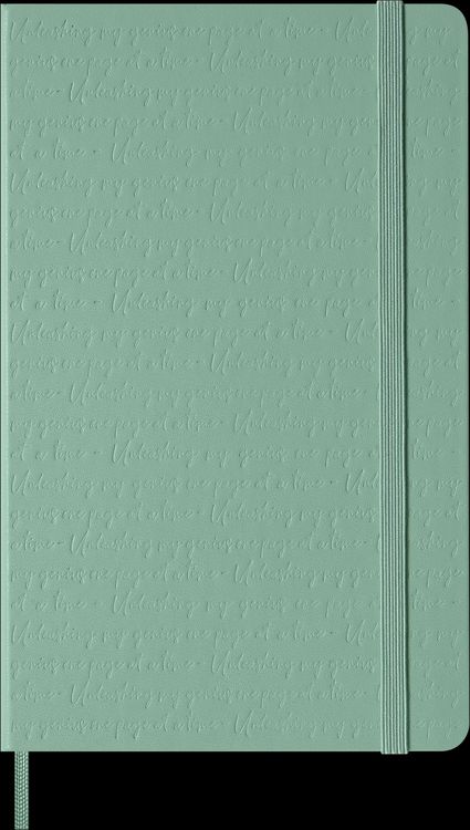 Produktbild: Moleskine Notizbuch L/A5, liniert, fester Einband, Salbeigr&uuml;n