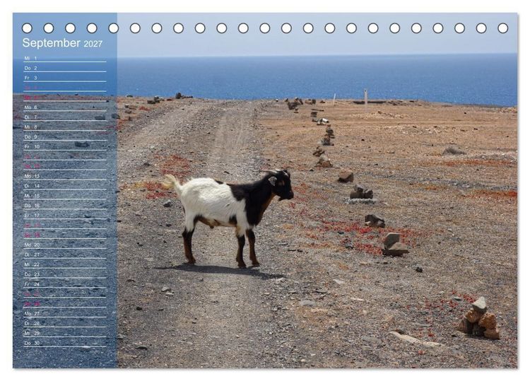 Produktbild: Fuerteventura in Ruhe (Tischkalender 2027 DIN A5 quer), CALVENDO Monatskalender